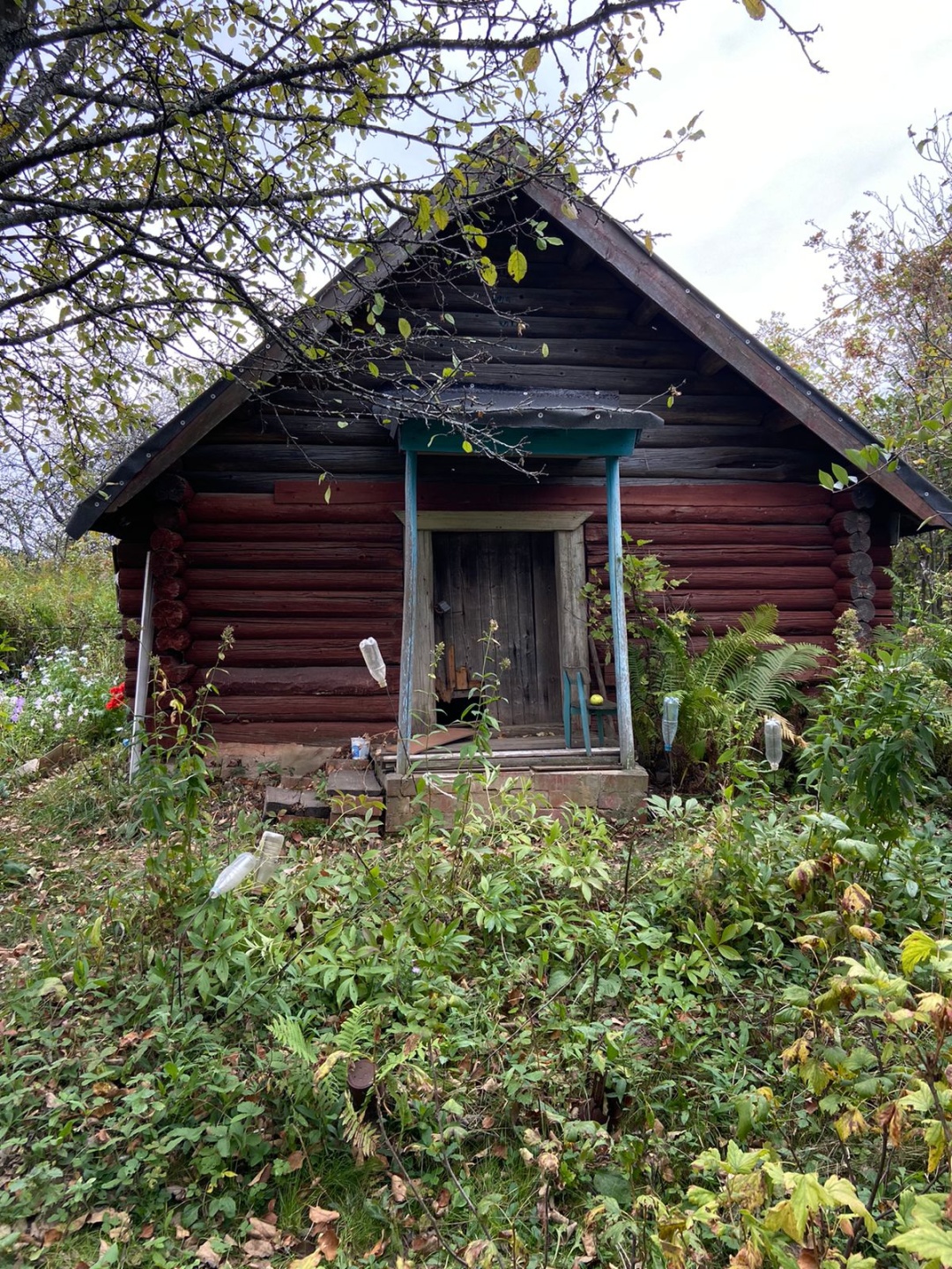 Мы предлагаем вашему вниманию прекрасный участок земли общей площадью 500 м², расположенный в живописном СНТ Акация. Этот участок идеально подойдет для сезонного отдыха.
Одним из главных преимуществ данного участка является возможность подключения электричества — столб для подключения уже установлен