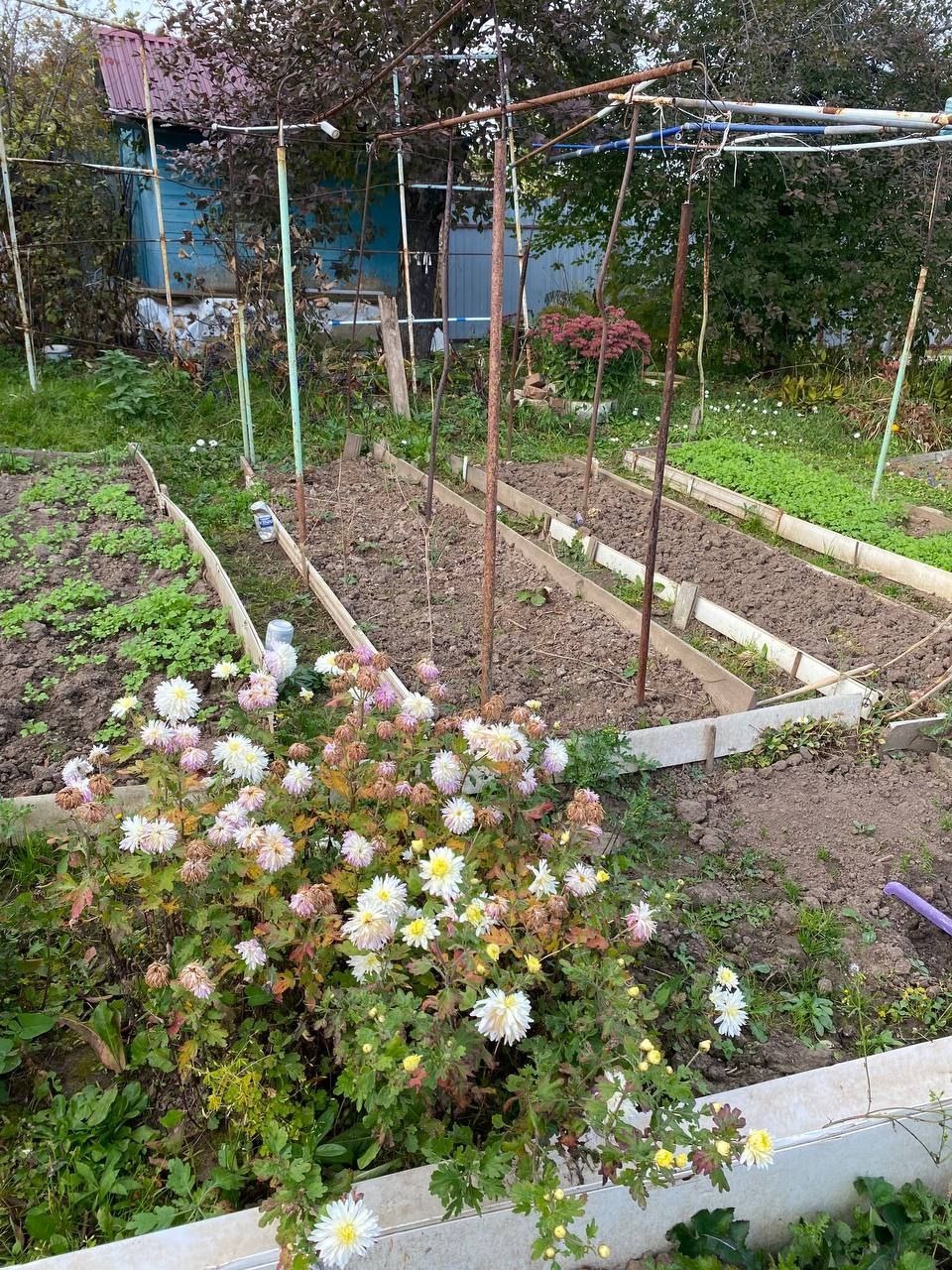 Продается ухоженный участок 6 соток с дачей в черте города

Идеальный вариант для тех, кто мечтает о загородном отдыхе с возможностью круглогодичного проживания.

✅ Участок 6 соток, аккуратный и ухоженный
✅ Есть дача для отдыха
✅ Возможность построить полноценный дом для круглогодичного проживания
✅